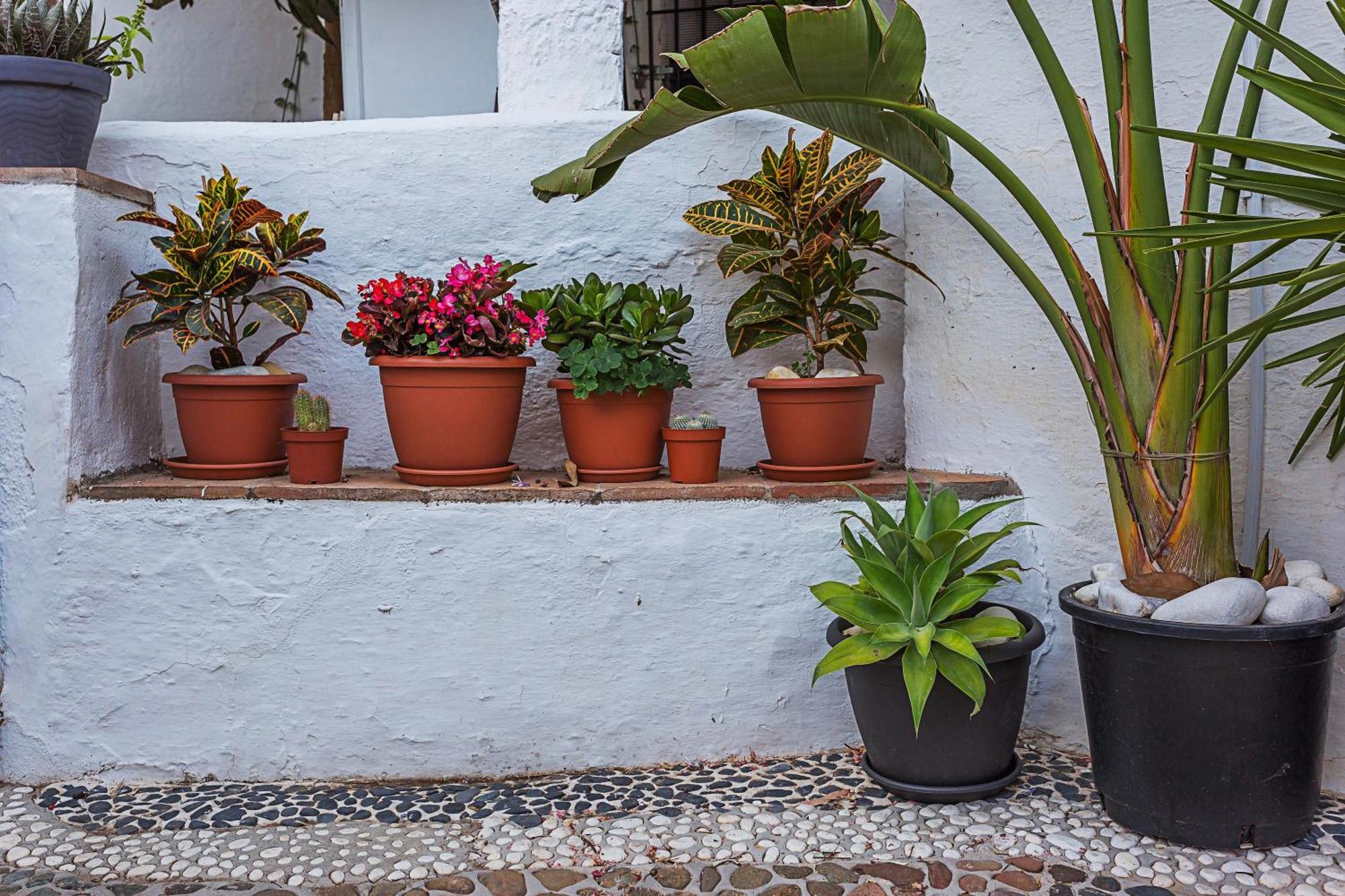Apartamento Cute Andalusian Townhouse With Terrace And Views. Mijas Exterior foto